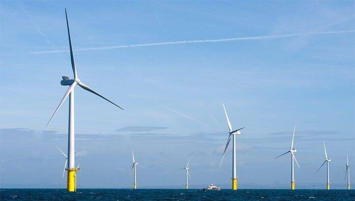 Use offshore wind expansions to drive nature restoration, report urges
