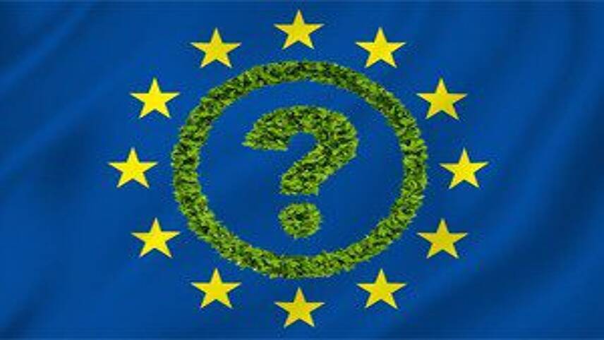 Brexit: Another hokey cokey dance for green business?
