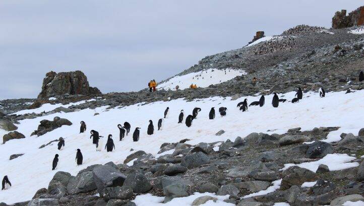 Taking pole position on sustainability: how Antarctica changed the way I see business
