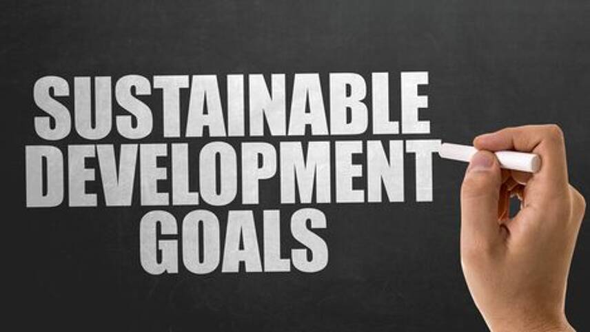 The SDGs are not for the faint-hearted but companies have much to gain