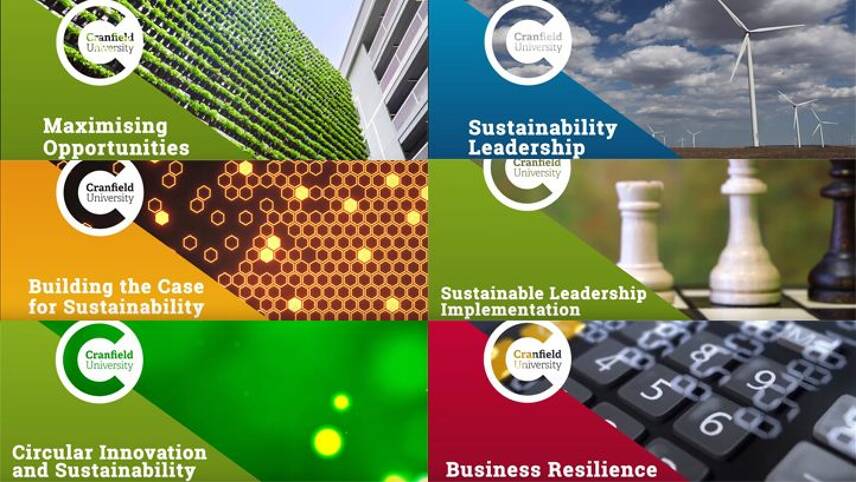 Kick-starting 2019 with the Sustainability Leadership Programme