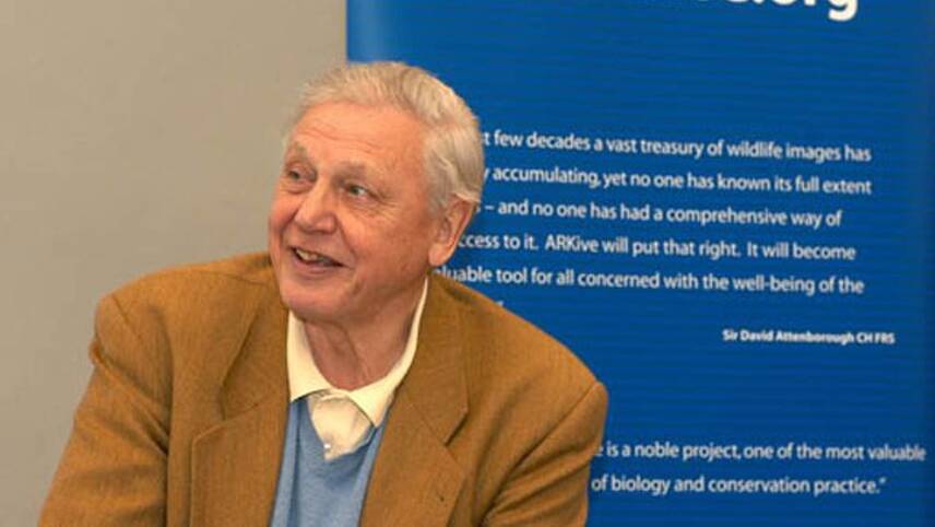 Climate change: Are businesses ready for the ‘Attenborough effect’ part two?