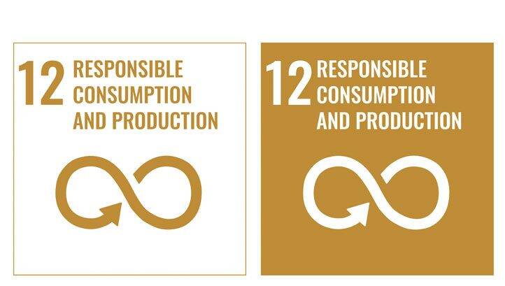 How to start your journey towards responsible consumption and production