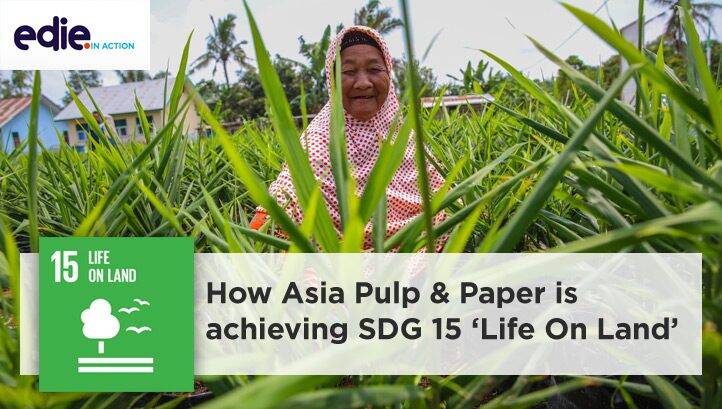 SDGs In Action: How Asia Pulp & Paper is achieving Goal 15 – Life On Land