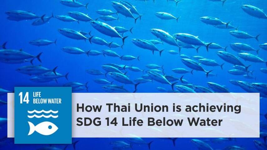 SDGs In Action: How Thai Union is achieving Goal 14 – Life Below Water