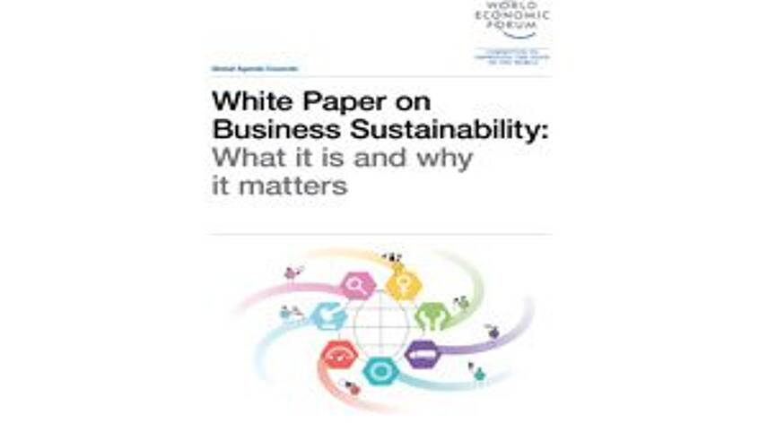 World Economic Forum White Paper on Business Sustainability: What it is and why it matters