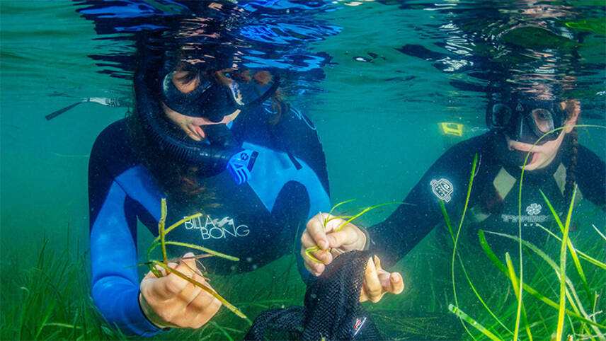 DPD to support WWF’s seagrass restoration project
