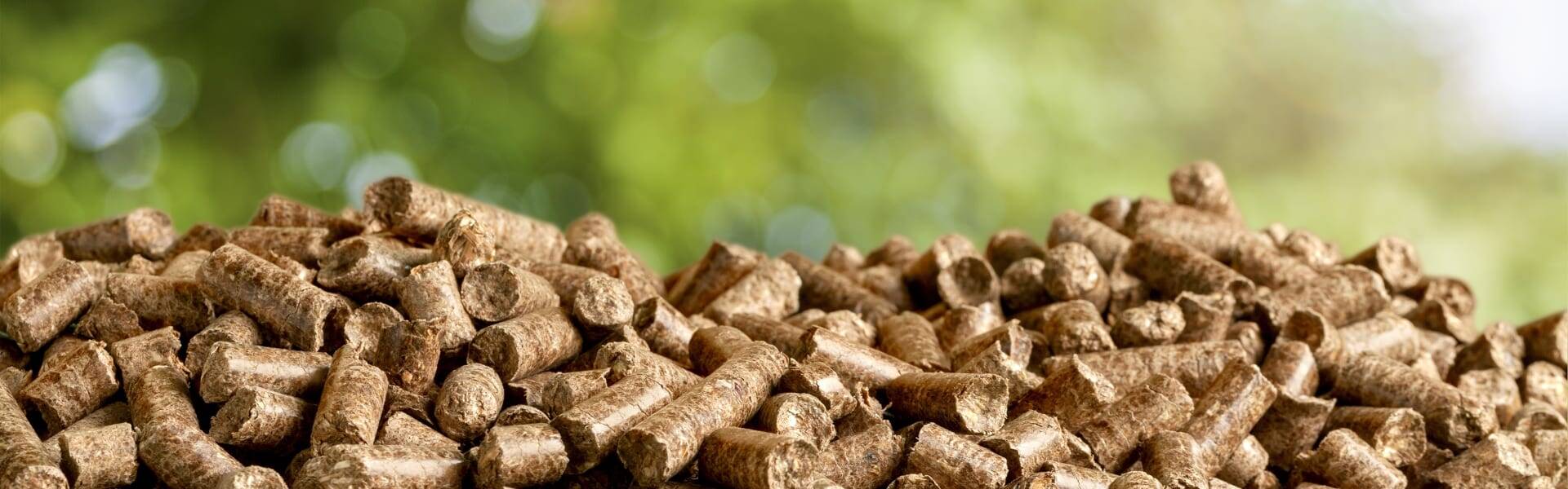 NAO raises doubts over sustainability of biomass plants