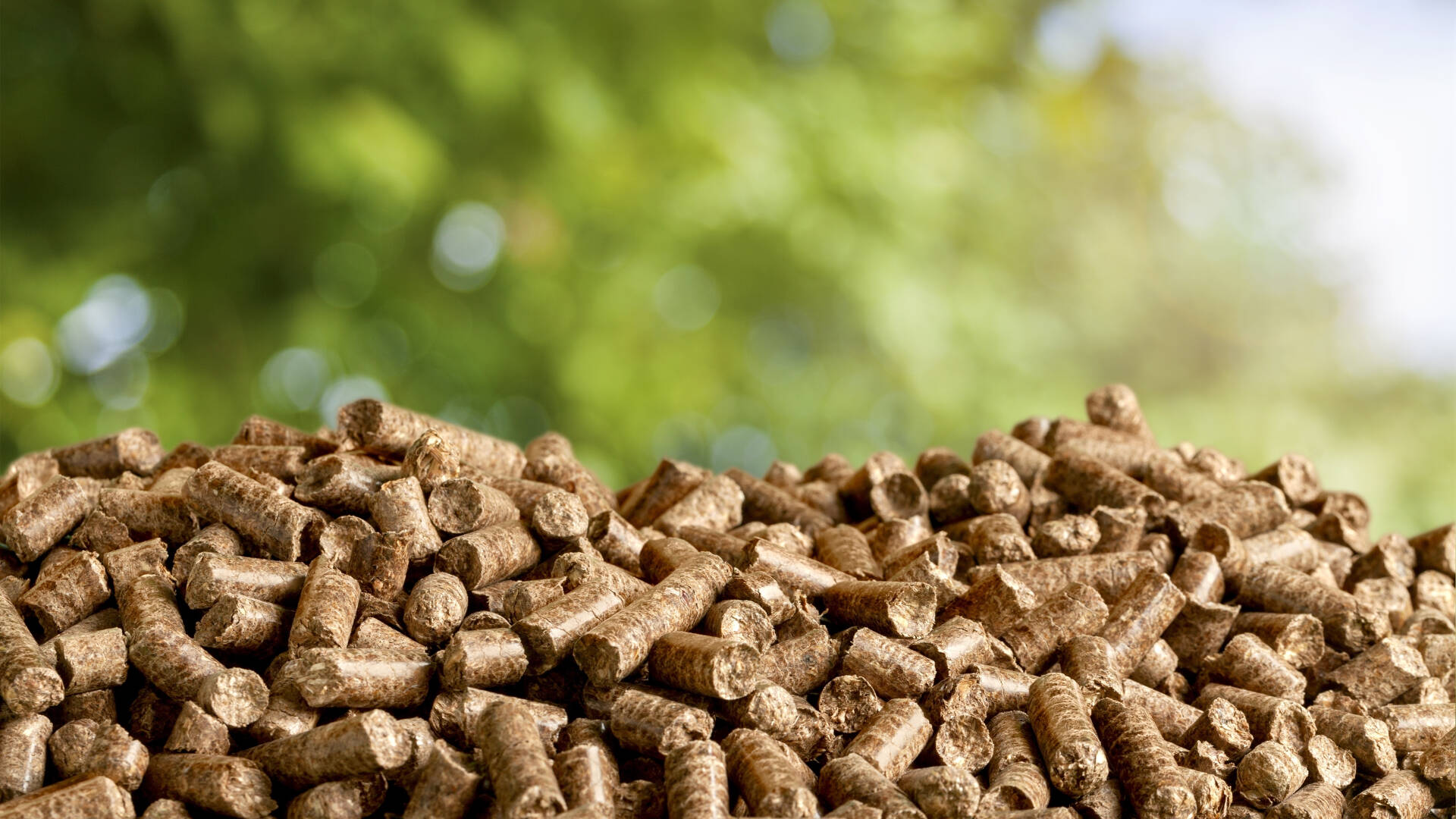 Drax plans to equip two biomass units with CCS