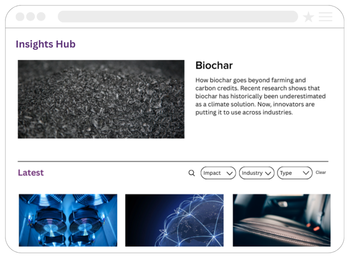 Close-up of biochar pieces.