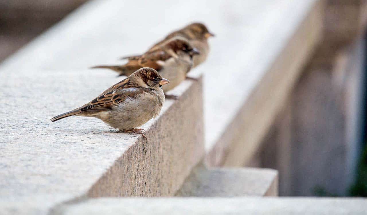 Graphene makes concrete stronger and greener
