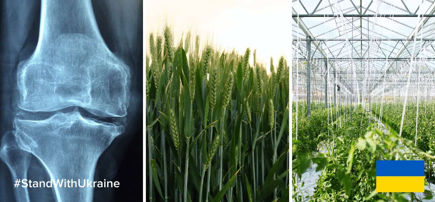 In support of Ukraine