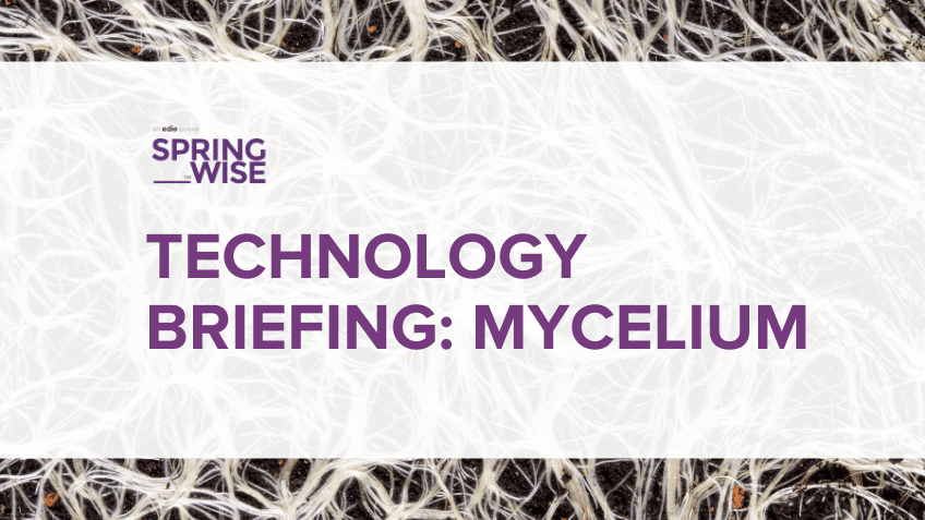 How can mycelium be used as a climate solution?