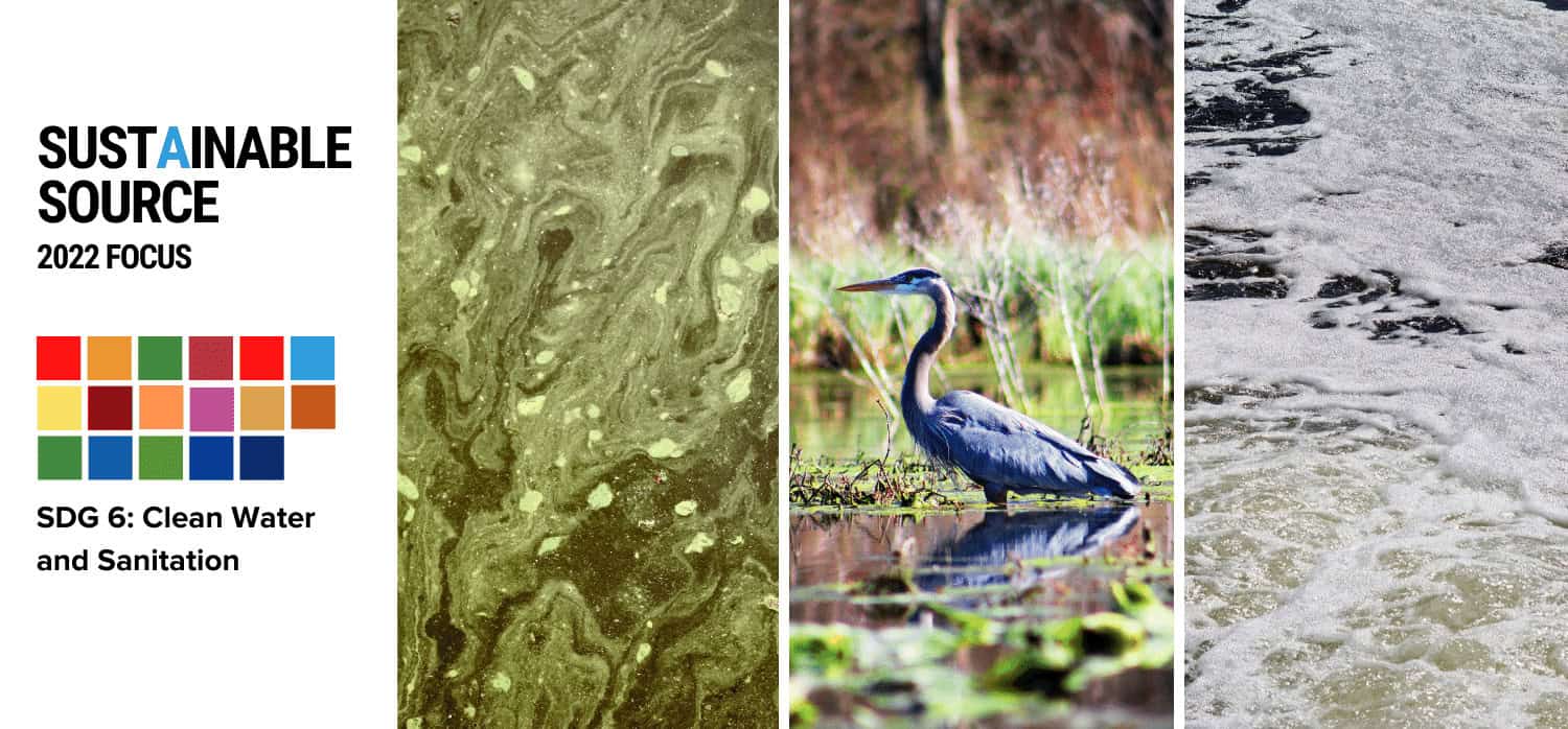 Innovation and SDG 6: clean water and sanitation