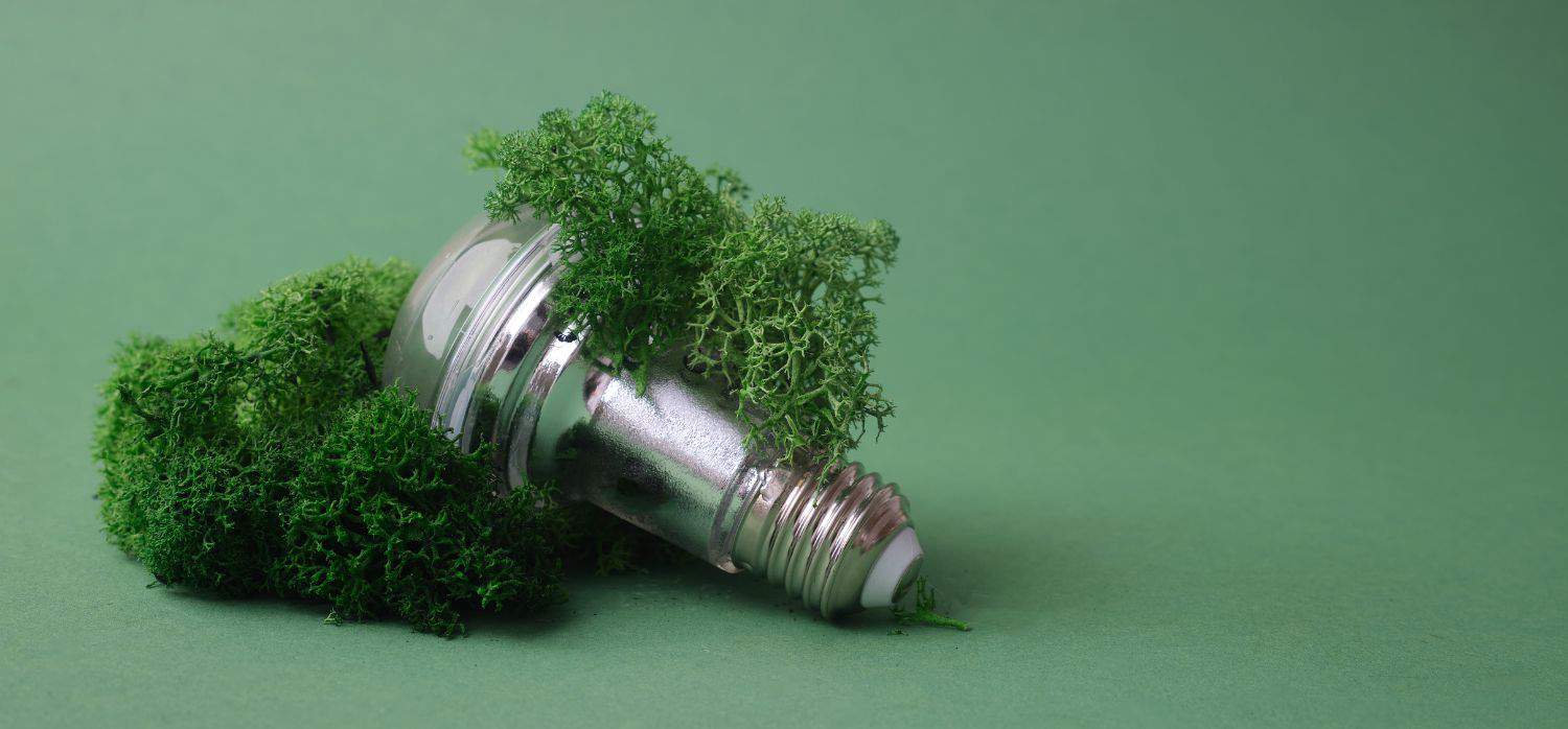 The role of marketing in sustainability strategy