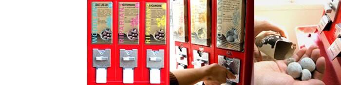 Guerrilla gardeners use candy machines to sell seed bombs