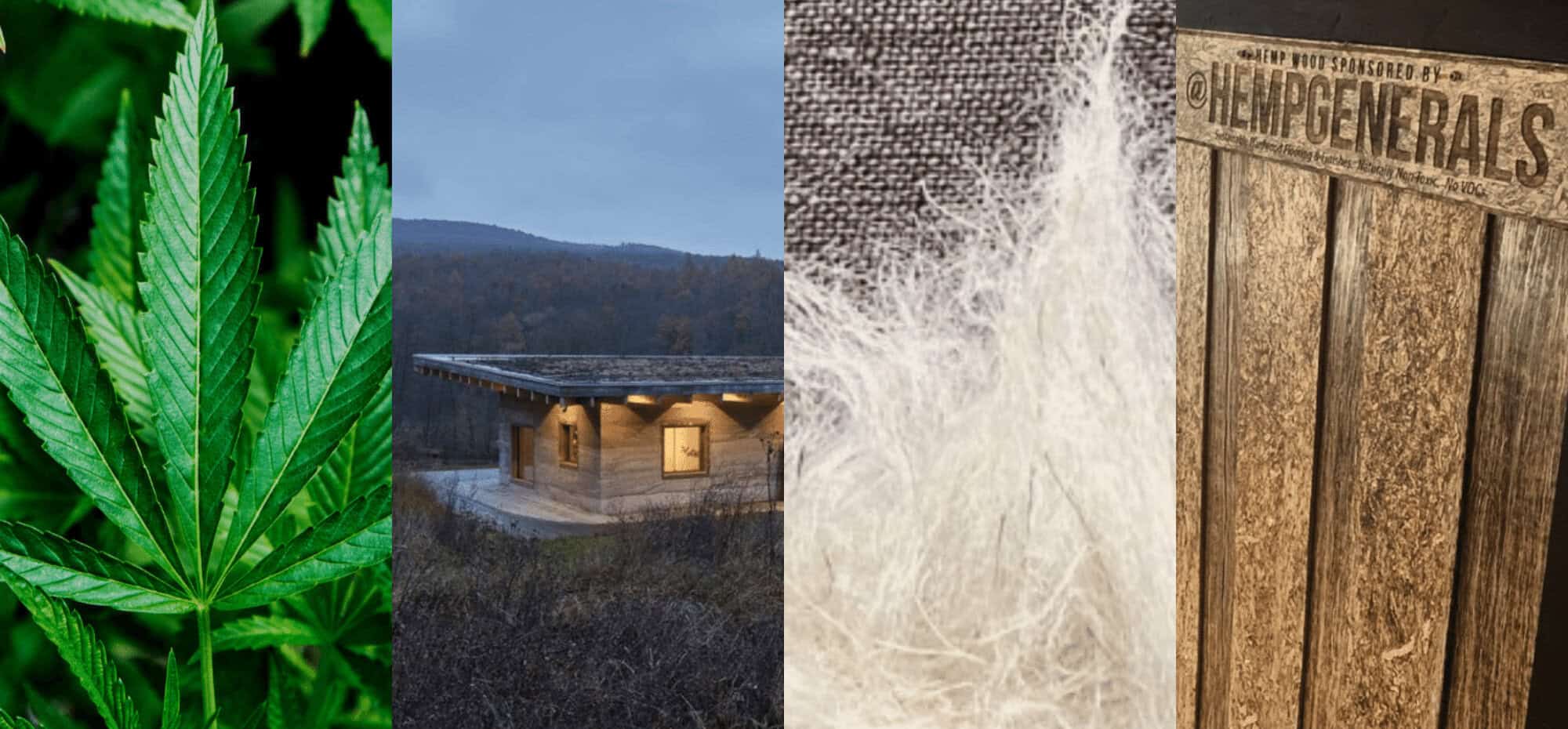 5 Innovative Uses of Hemp in Materials