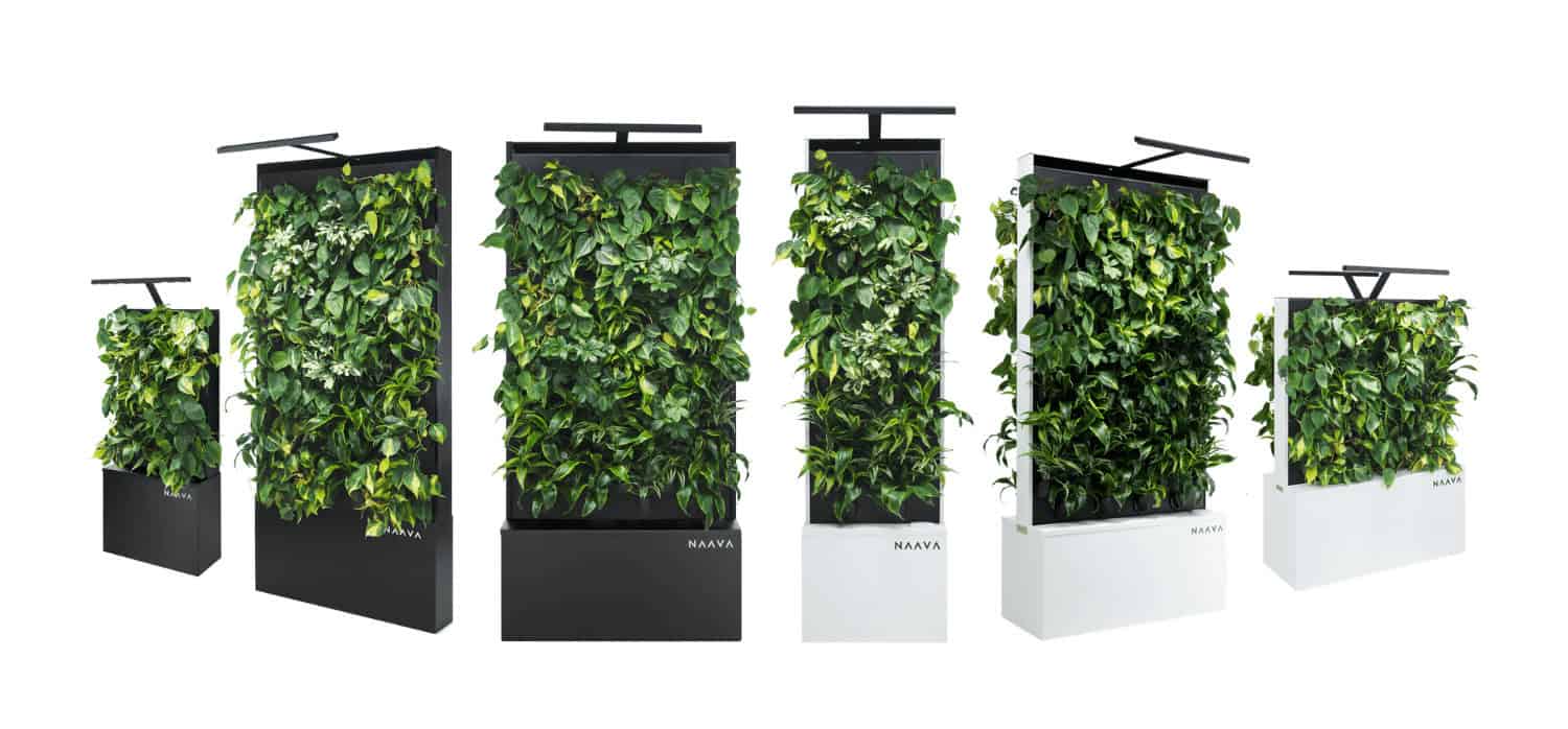 Low-maintenance green walls purify indoor air