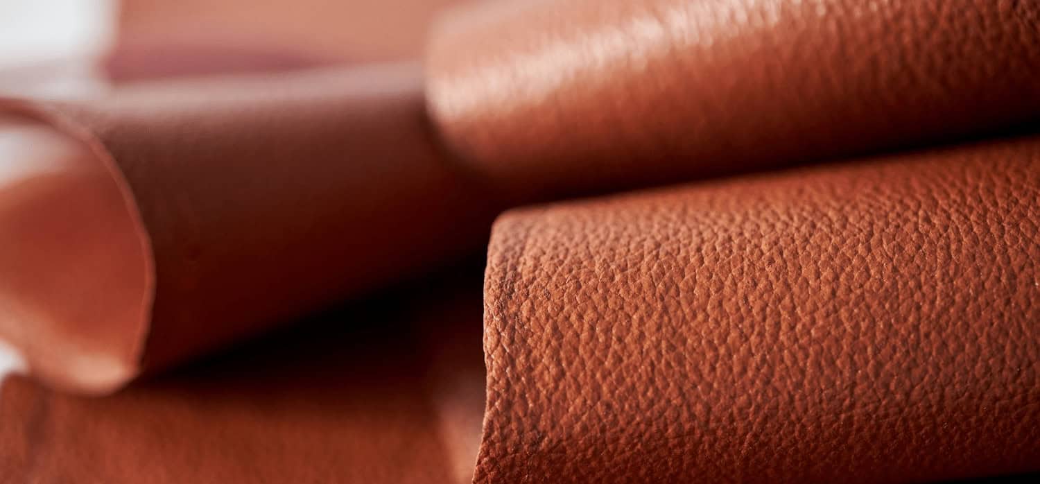 The world’s first cell cultivated leather