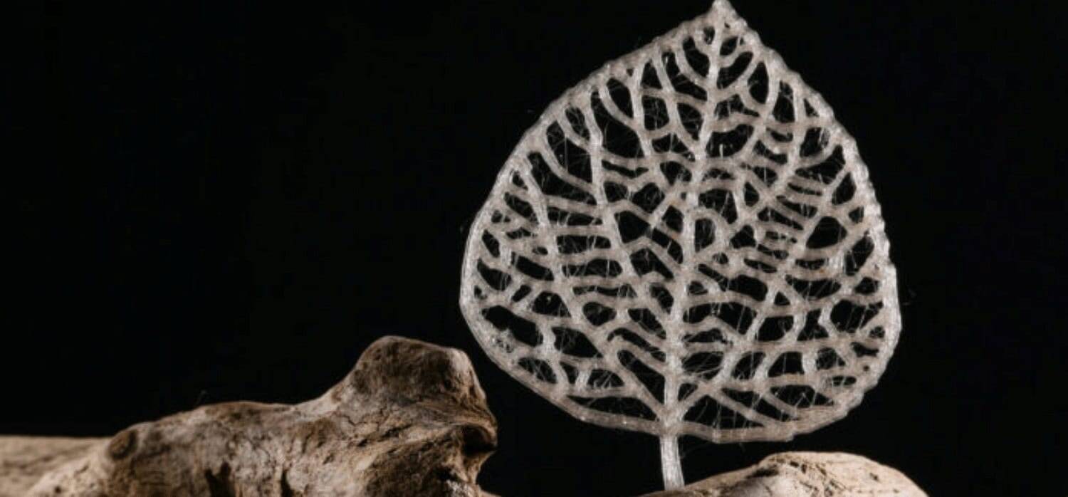 A biodegradable plastic made from plant waste