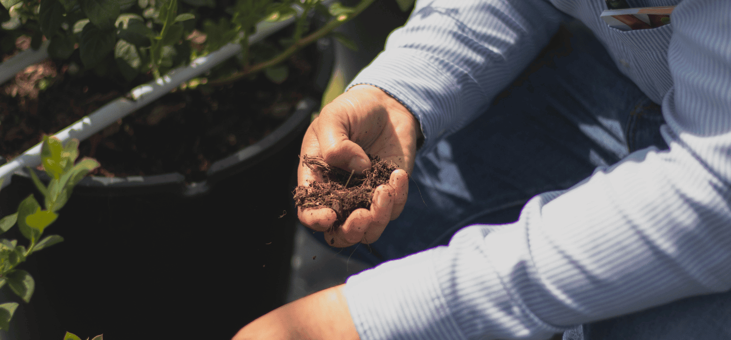 Could the marriage of microbes and AI deliver healthy crops and sustainable soils?