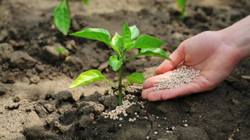 A device extracts fertiliser ingredients from thin air