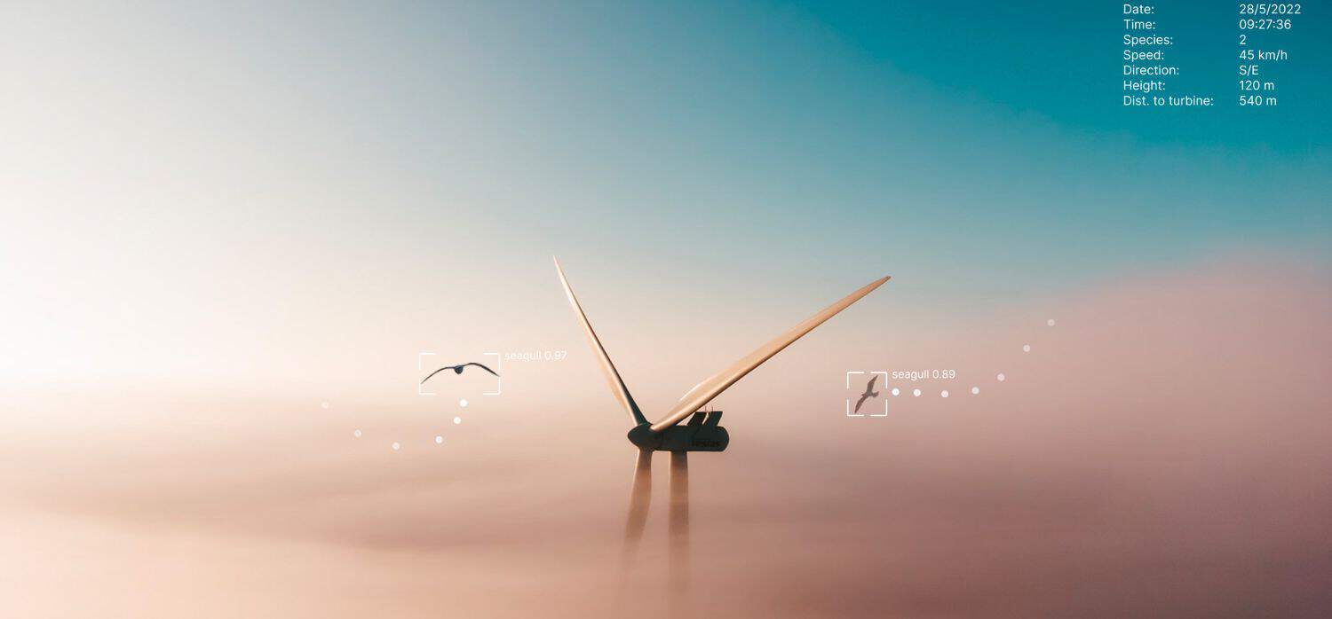 How can AI make wind energy safer for birds?