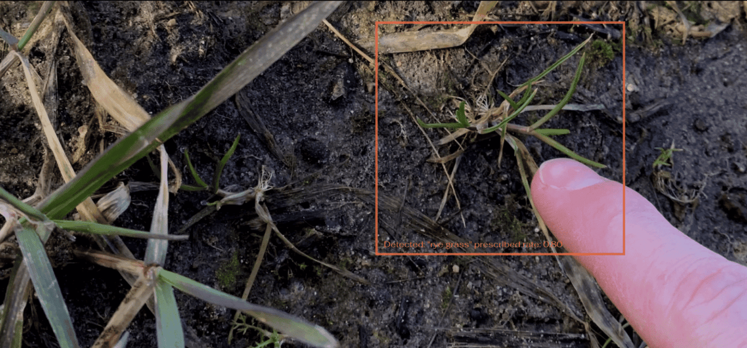 Easy-to-use AI for agriculture