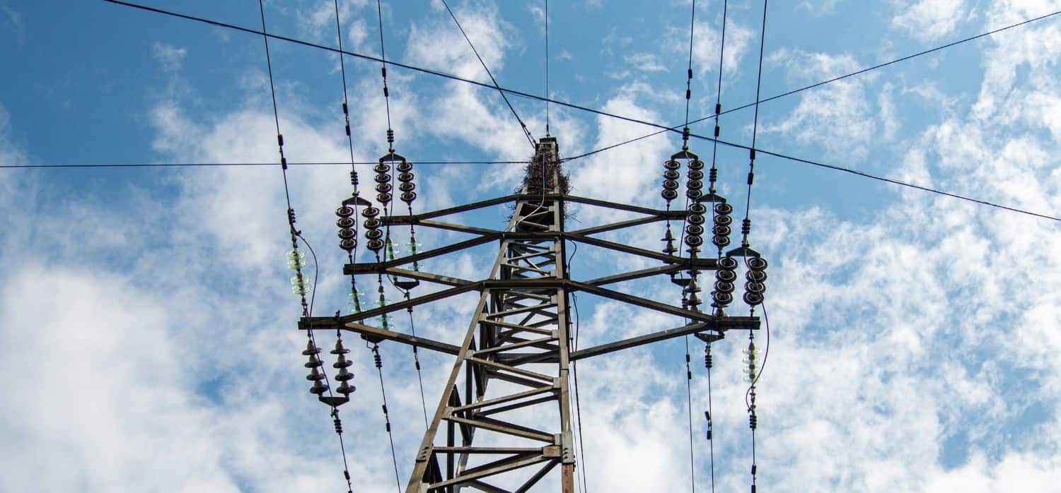 Vehicle-mounted computer vision for grid monitoring