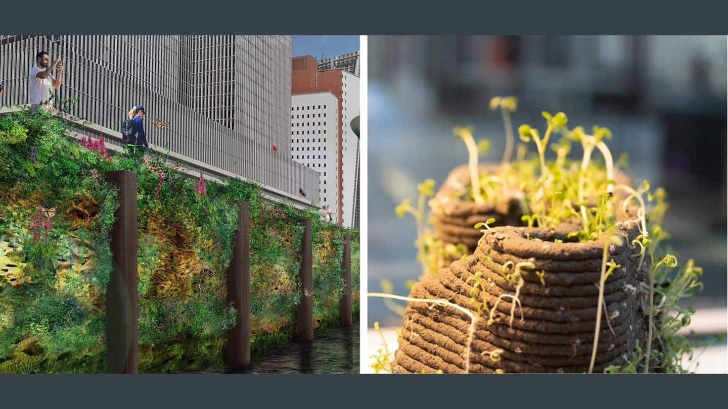 Springwise Designer 3D printing biodiversity back into cities - Springwise