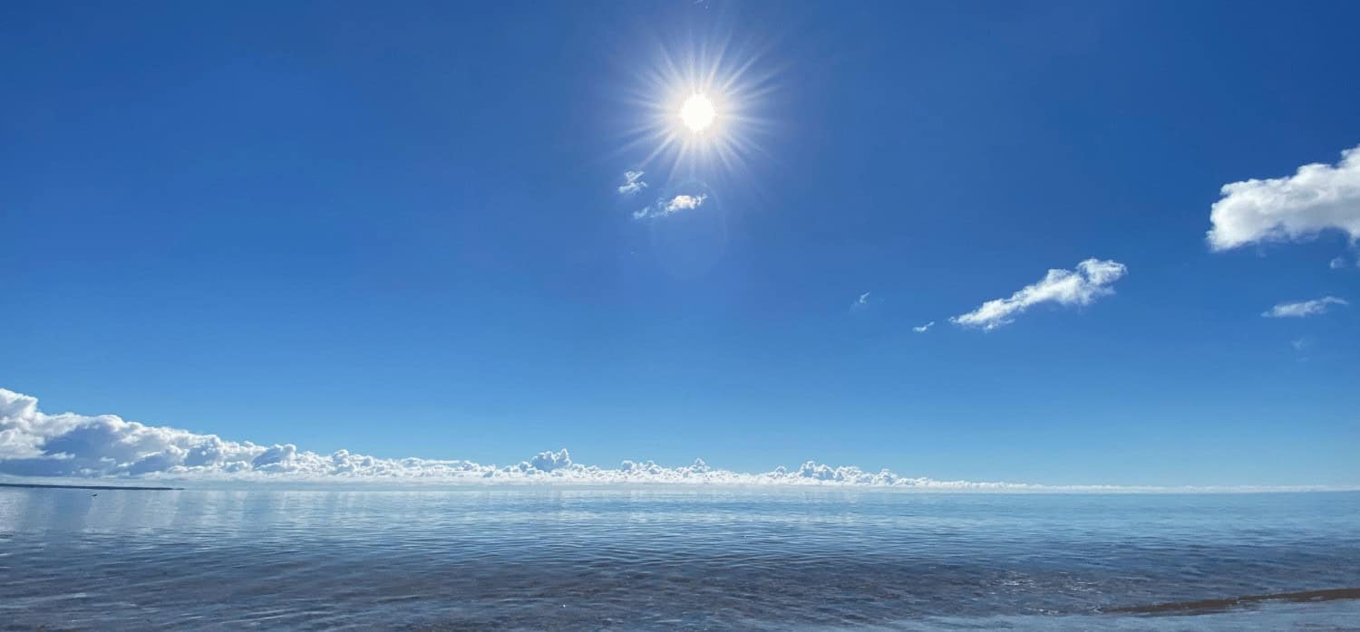 Plastic that degrades from sunlight could make electronics more sustainable