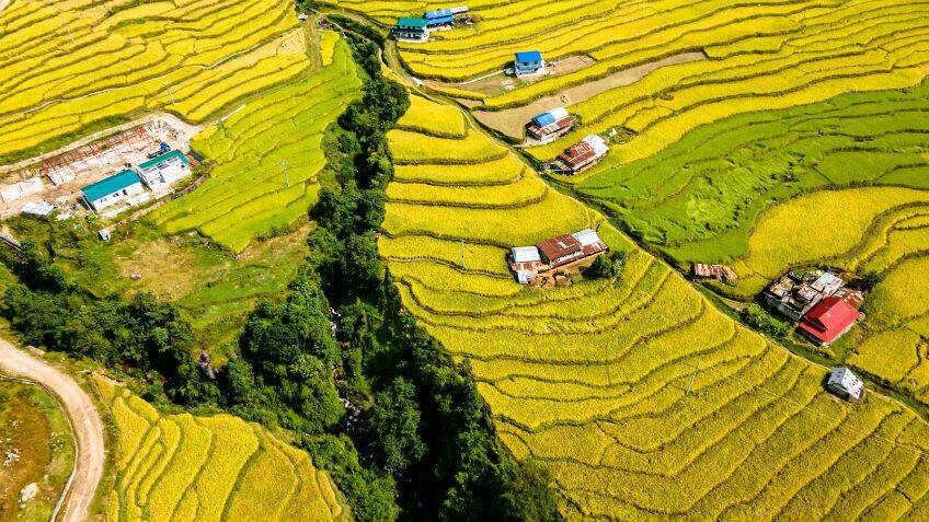 Using satellites and AI for climate insurance