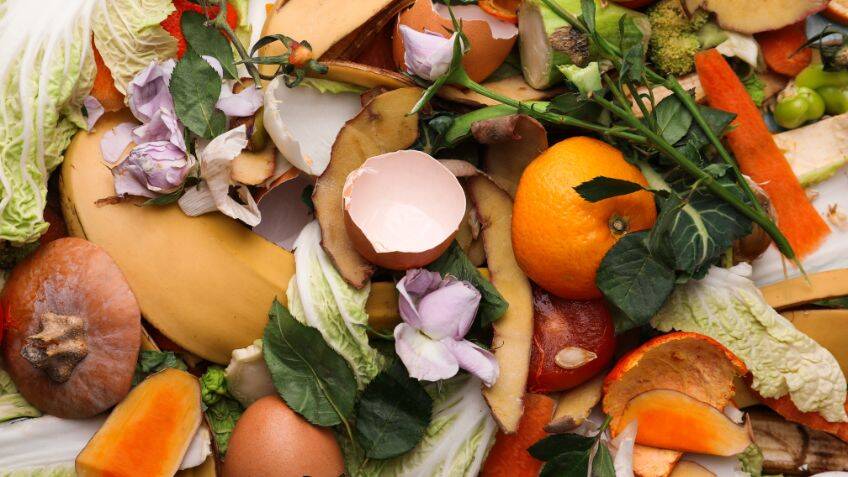 Turning food waste into fertiliser