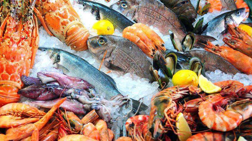 Circular seafood: making more food with less fish