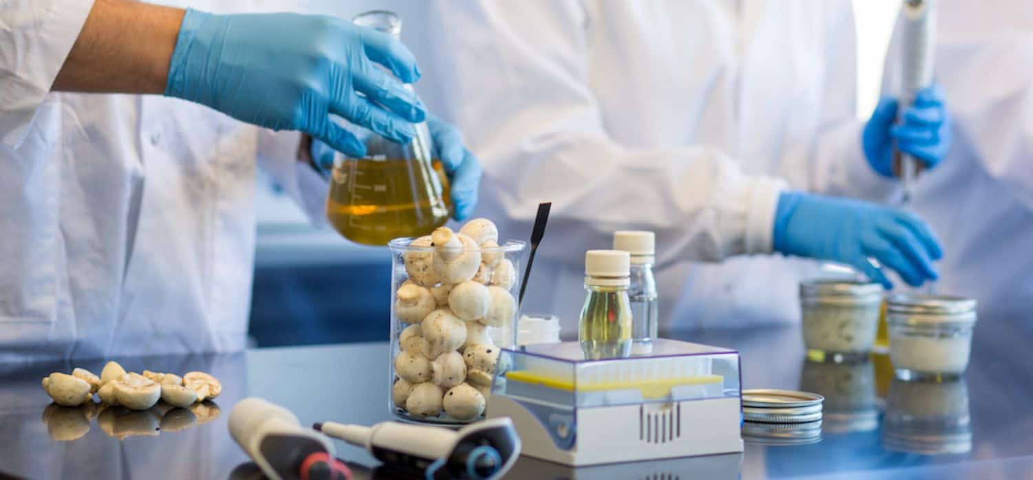Mushroom fibres lengthen shelf lives