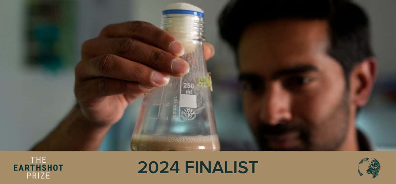 Growing algae for sustainable fish feed