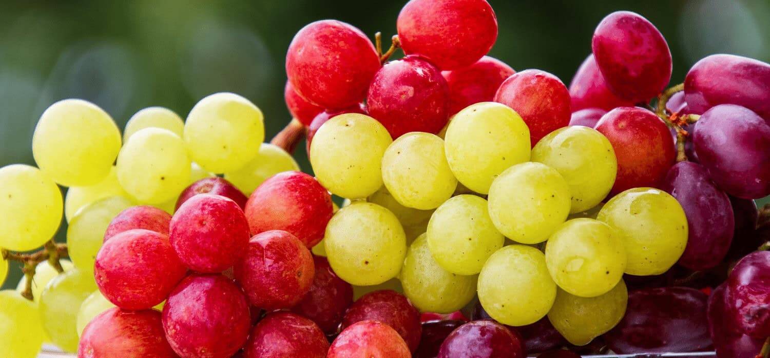 Easy-to-use food preservative moderates the air around produce