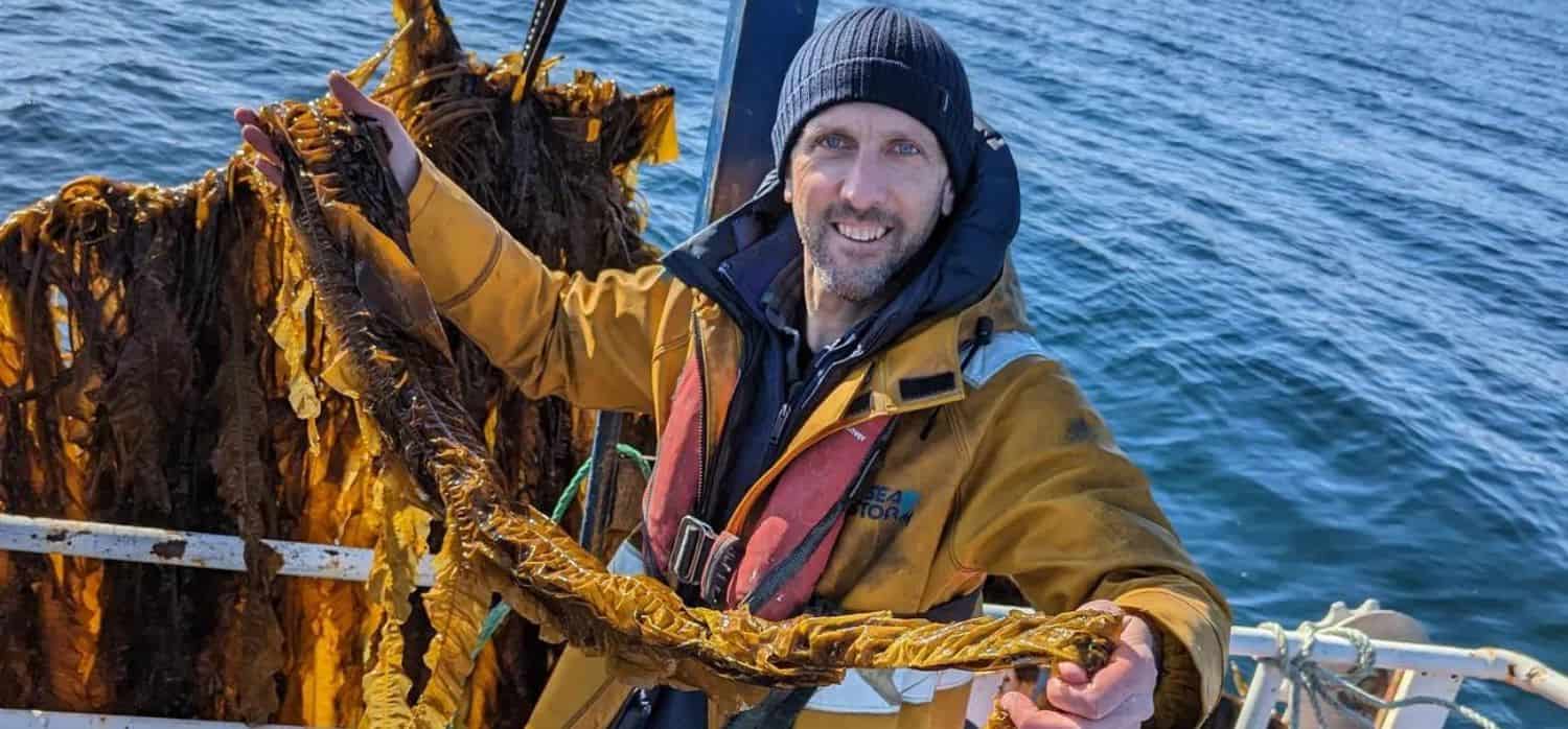 Seaweed nutraceuticals: a new wave in wellness