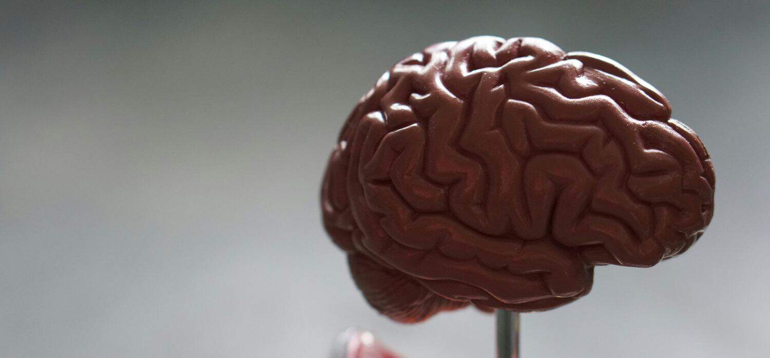 Research detects signs of dementia in speech patterns