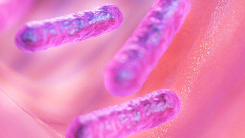 ‘Superman’ coatings for resilient industrial bacteria