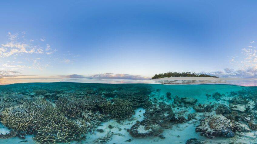 3D-printed seawalls save coral reefs