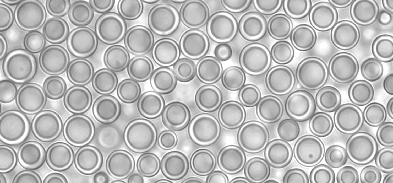 Replacing microplastics in consumer goods