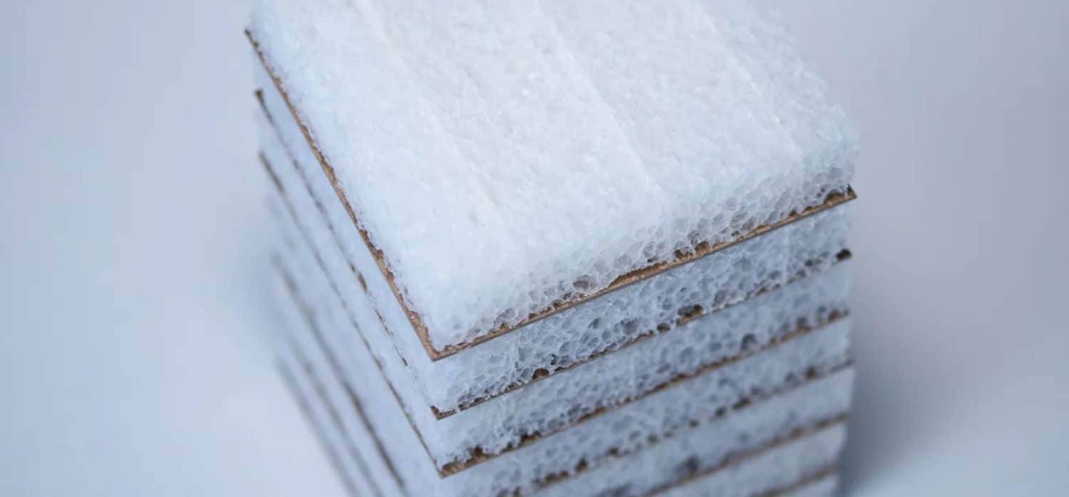 Foam packaging made from food waste