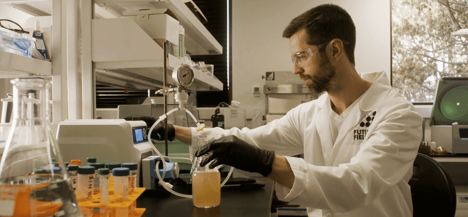 Using insects as sustainable bioreactor replacements for lab research