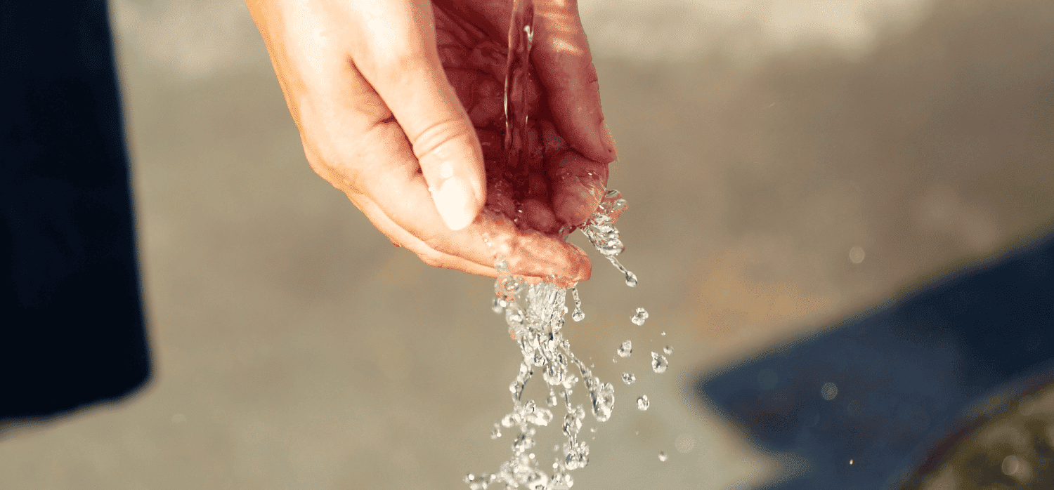 Filter cartridges purify the water from most taps