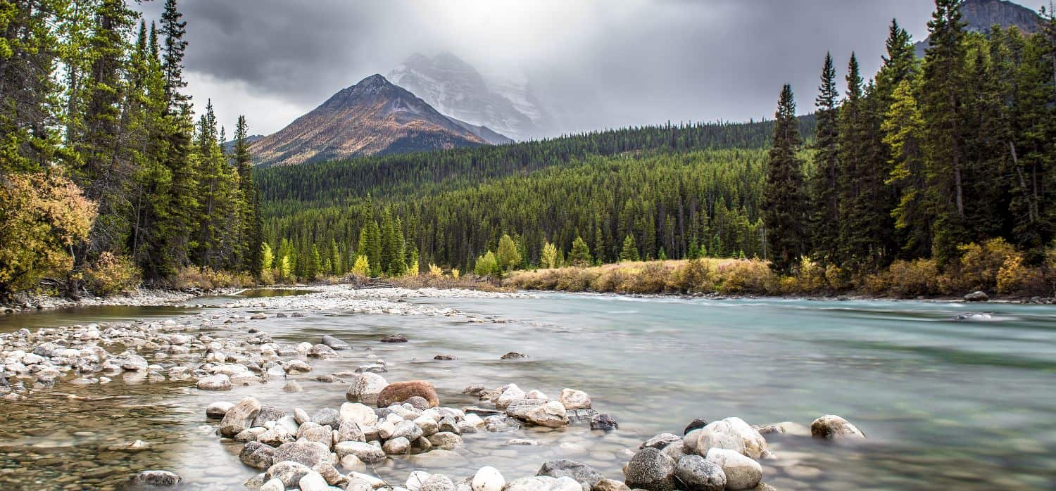 Restoring rivers for CO2 capture and biodiversity