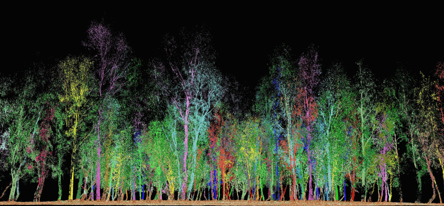 Reviving nature: a new era of tech-driven restoration