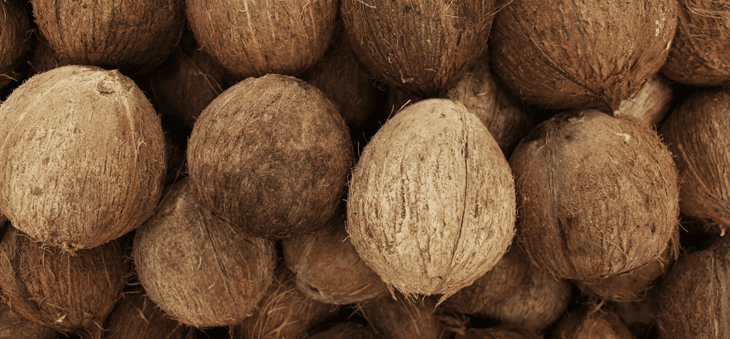 Scrubbers and sponges made from coconut