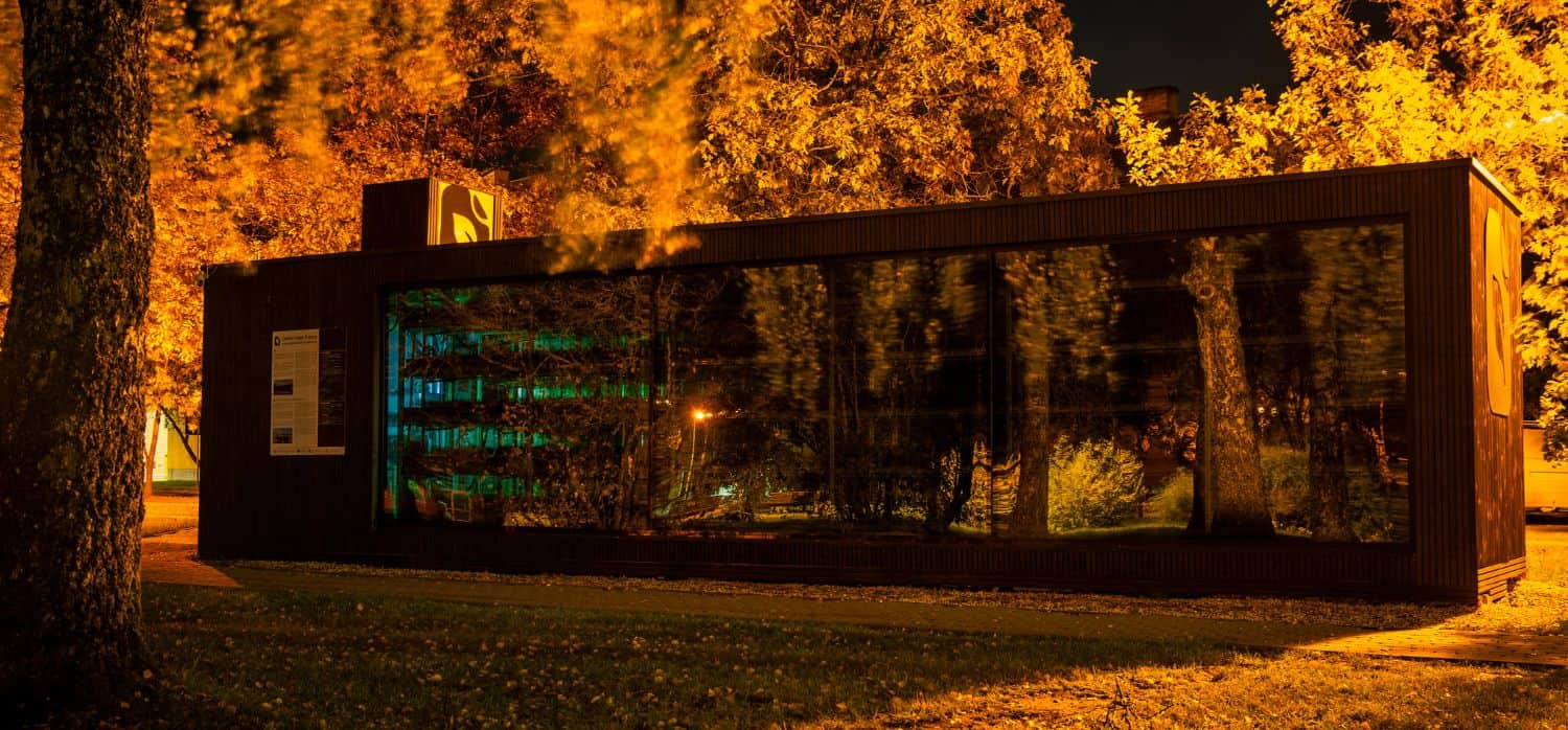 Growing trees on-site to empower businesses