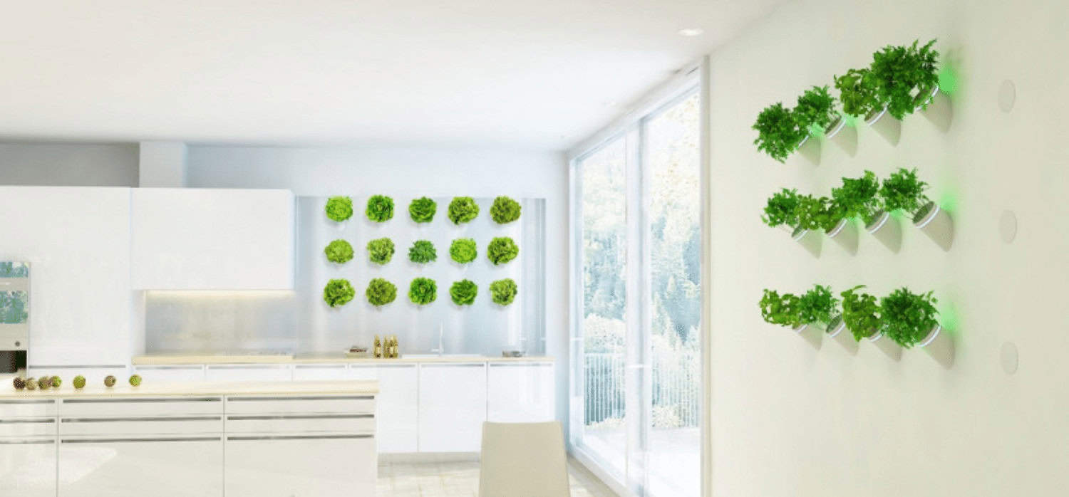 AI-based system for ‘living walls’ that generate clean air indoors